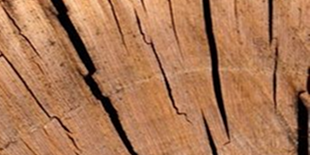 Material 1